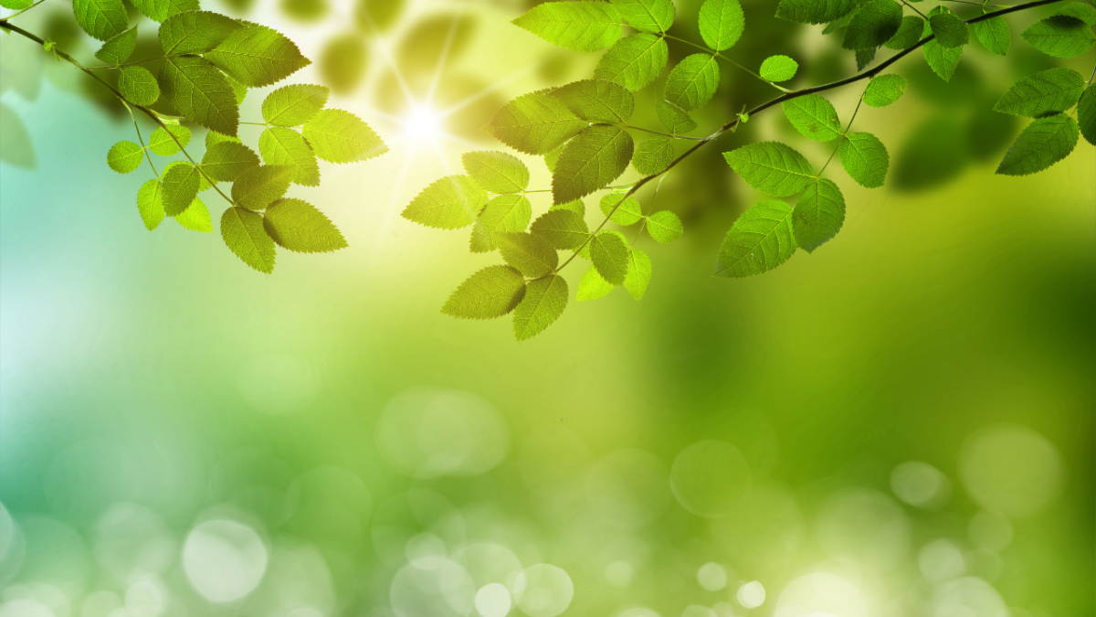 2025年11月3日 日本知財学会での発表予定のお知らせ